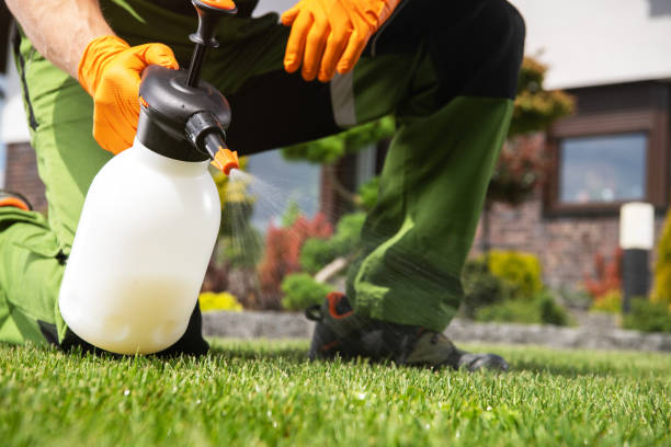 Best Pest Prevention Services  in Clearwater, MN