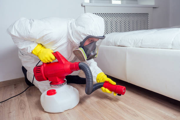 Best Pest Removal Services  in Clearwater, MN